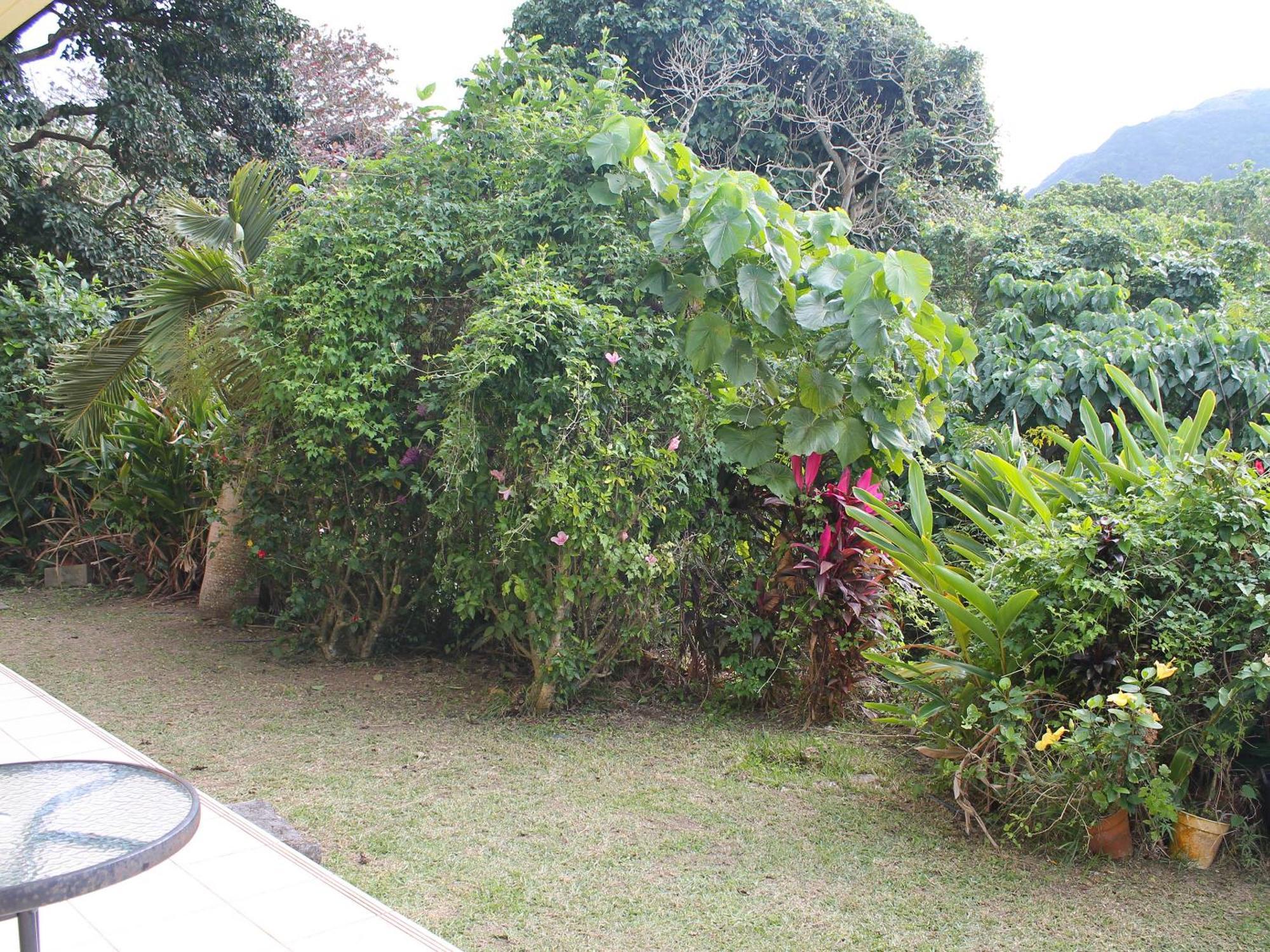 Pine Shima Resort Coral Fish Ishigaki  外观 照片